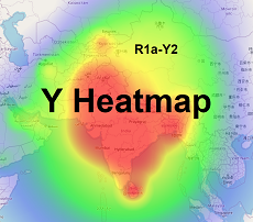 y_heatmap_small