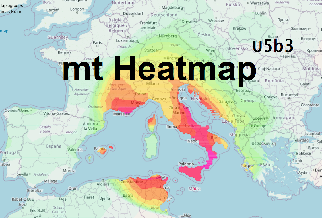 mt Heatmap