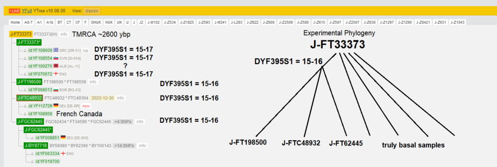 Three Child Lineages of J2b-FT33373 May Actually Be Grandchildren ...