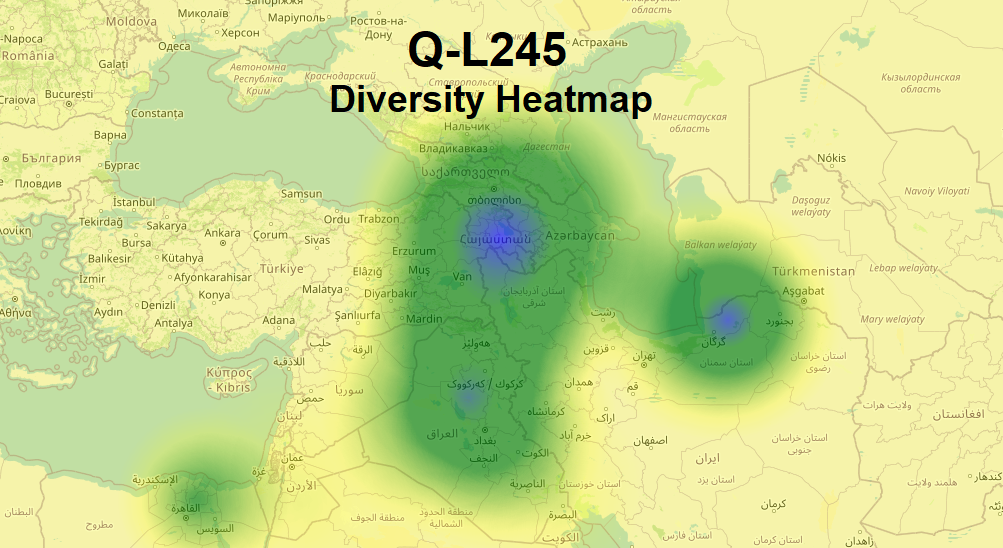 Q-L245 diversity_2