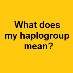 lesson 2 what haplogroup means